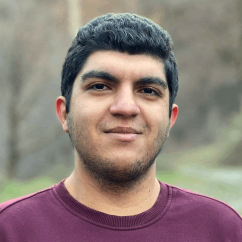 Seyedalireza Alavi