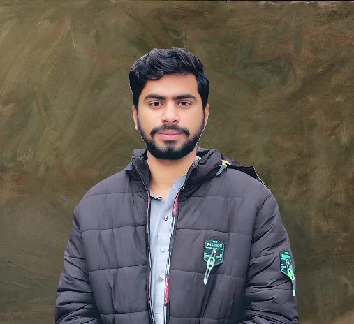 Muhammad Ameer Hamza