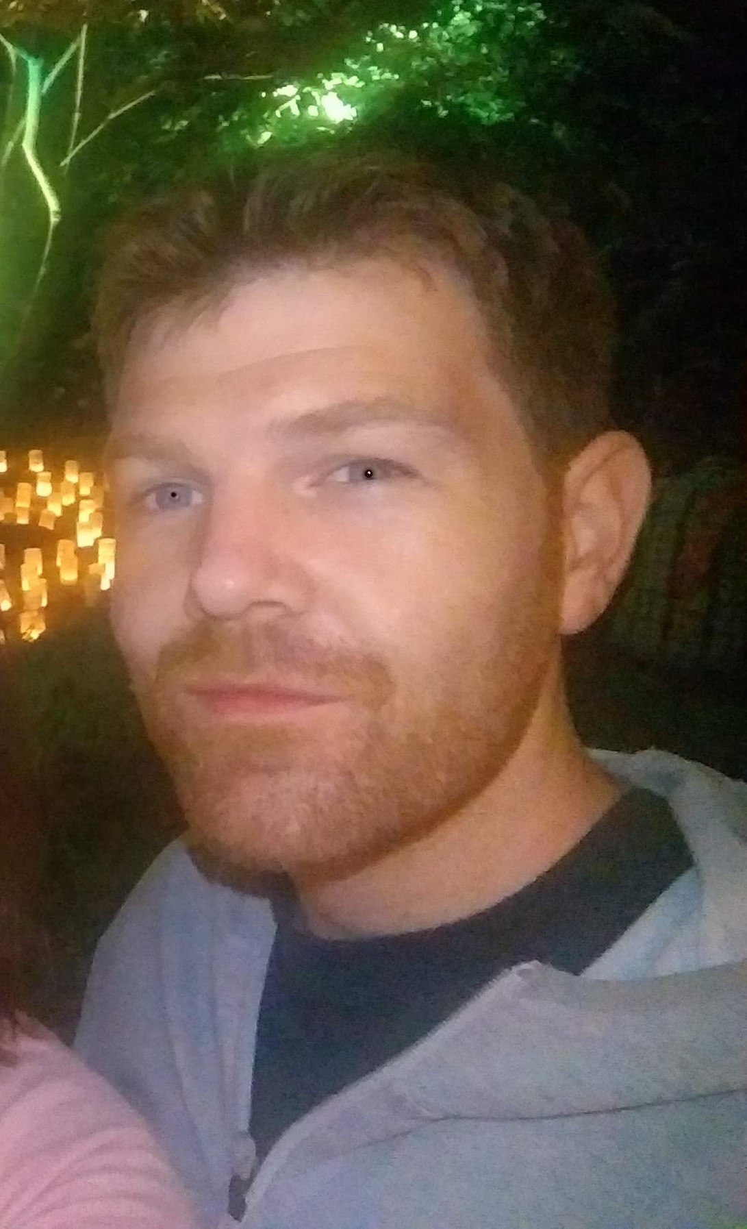 David Nye