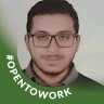 Mohammed Hussein Abdal-monem